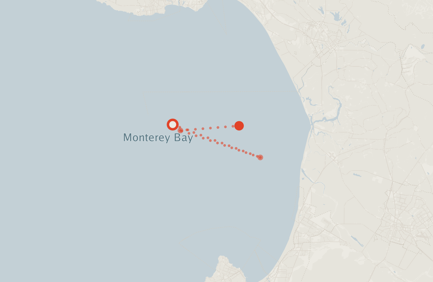 Activity map — real sighting points on an OpenStreetMap basemap
