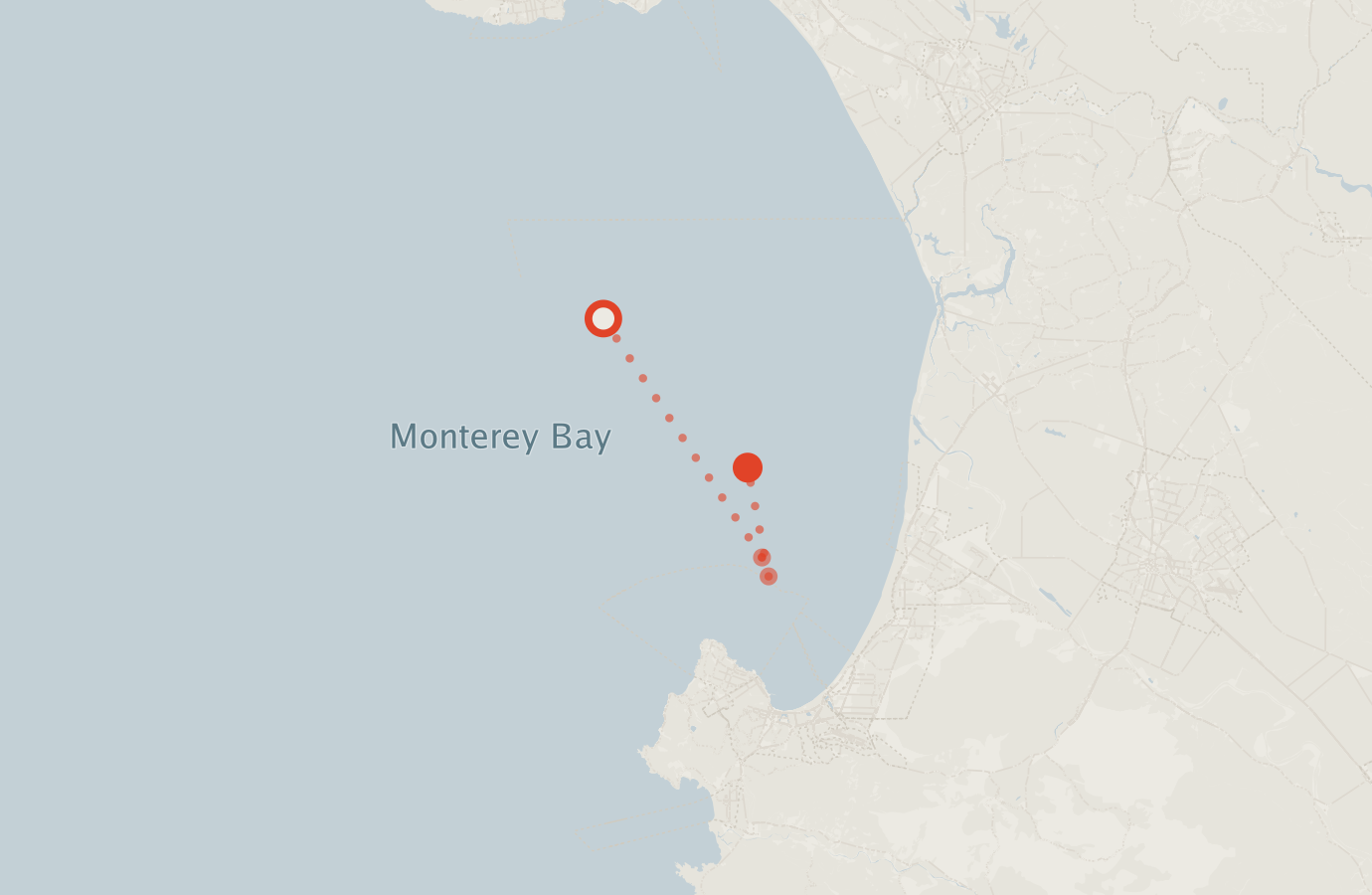 Activity map — real sighting points on an OpenStreetMap basemap