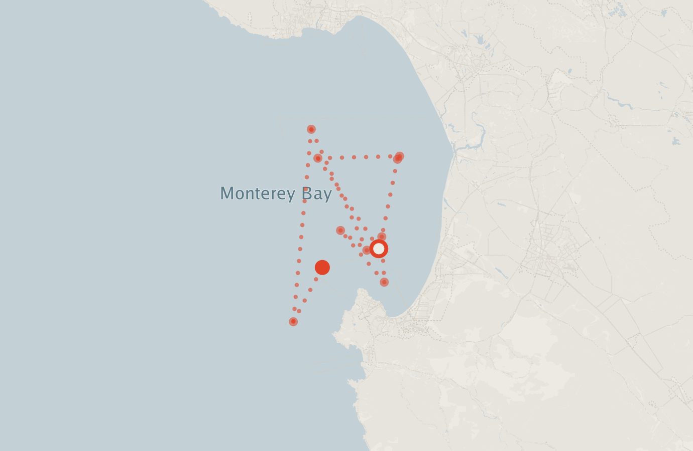 Activity map — real sighting points on an OpenStreetMap basemap