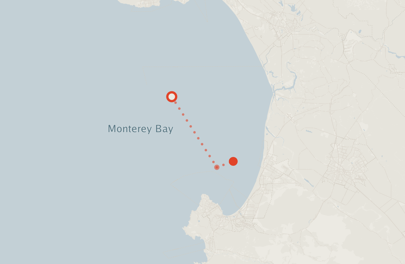 Activity map — real sighting points on an OpenStreetMap basemap