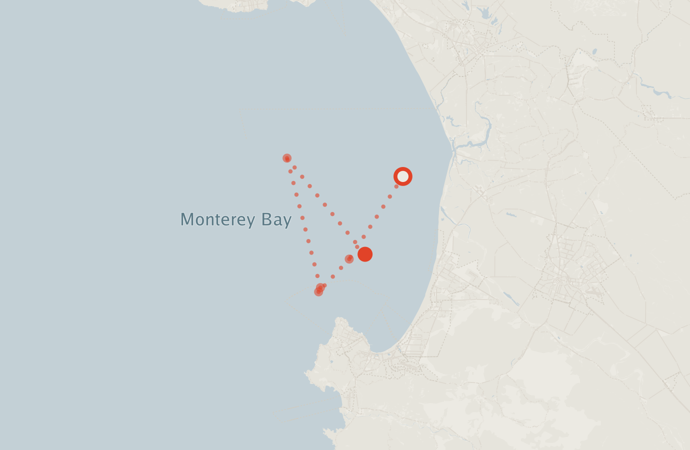 Activity map — real sighting points on an OpenStreetMap basemap