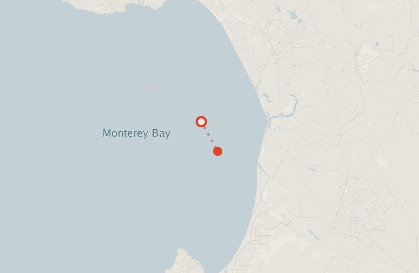 Activity map — real sighting points on an OpenStreetMap basemap