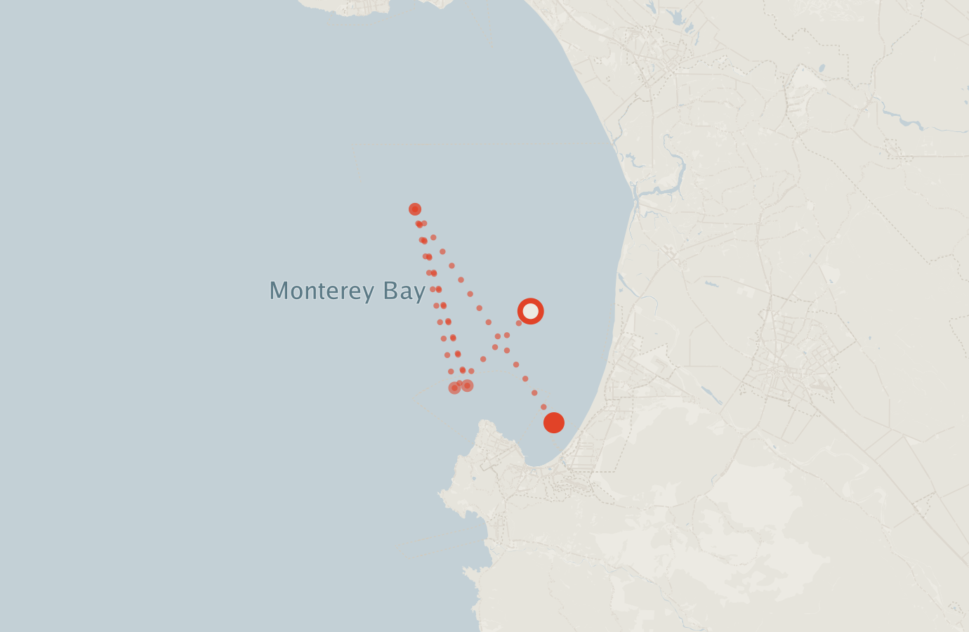 Activity map — real sighting points on an OpenStreetMap basemap