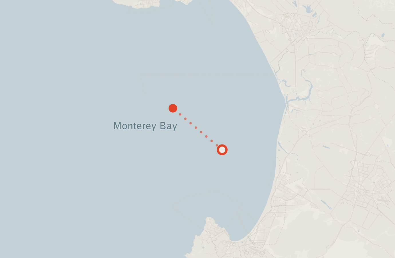Activity map — real sighting points on an OpenStreetMap basemap