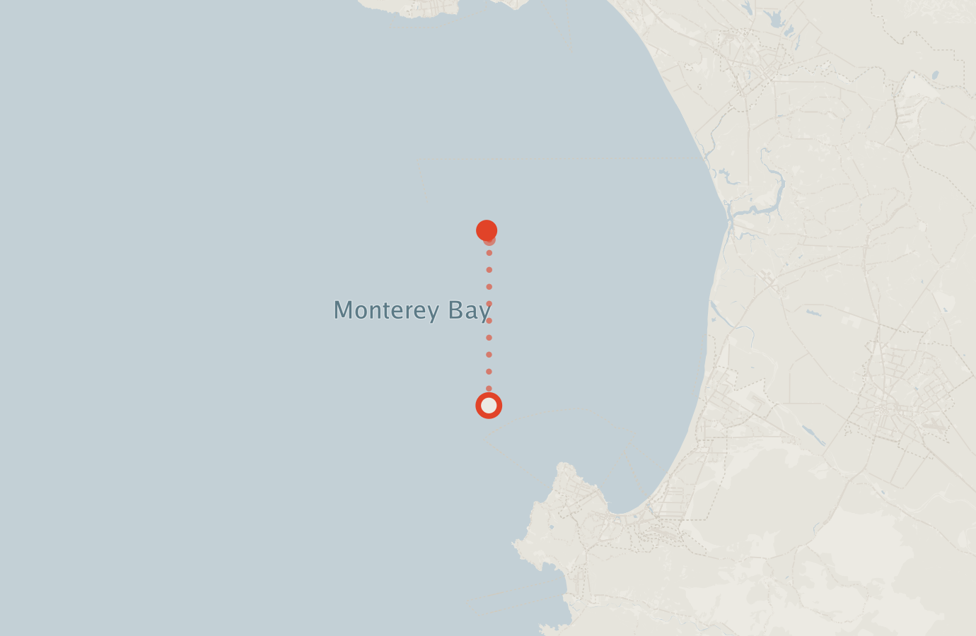 Activity map — real sighting points on an OpenStreetMap basemap