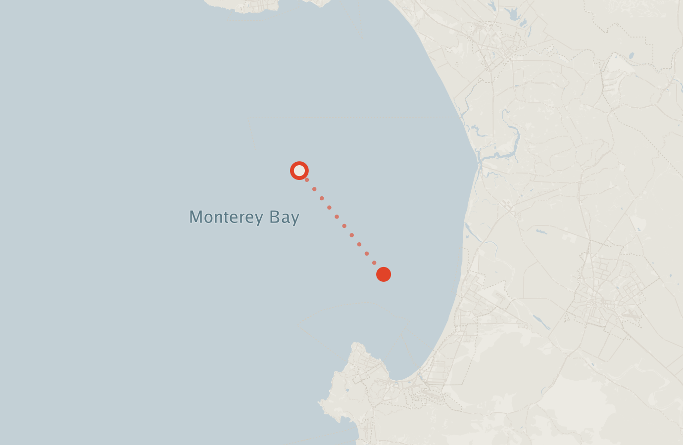 Activity map — real sighting points on an OpenStreetMap basemap