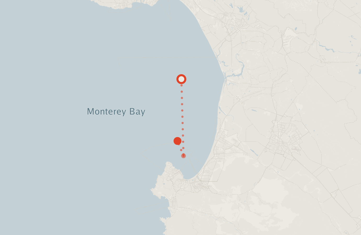 Activity map — real sighting points on an OpenStreetMap basemap