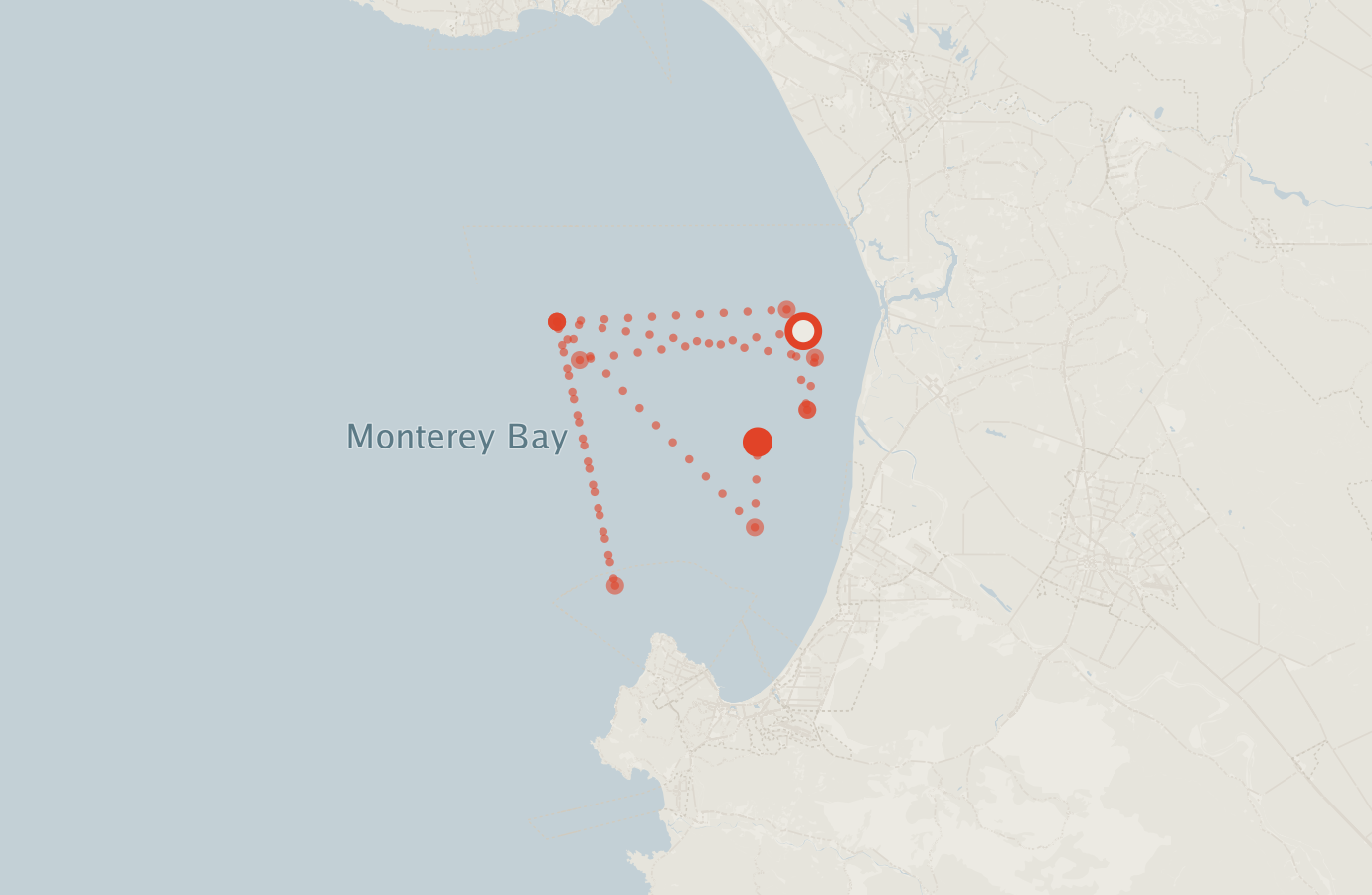 Activity map — real sighting points on an OpenStreetMap basemap