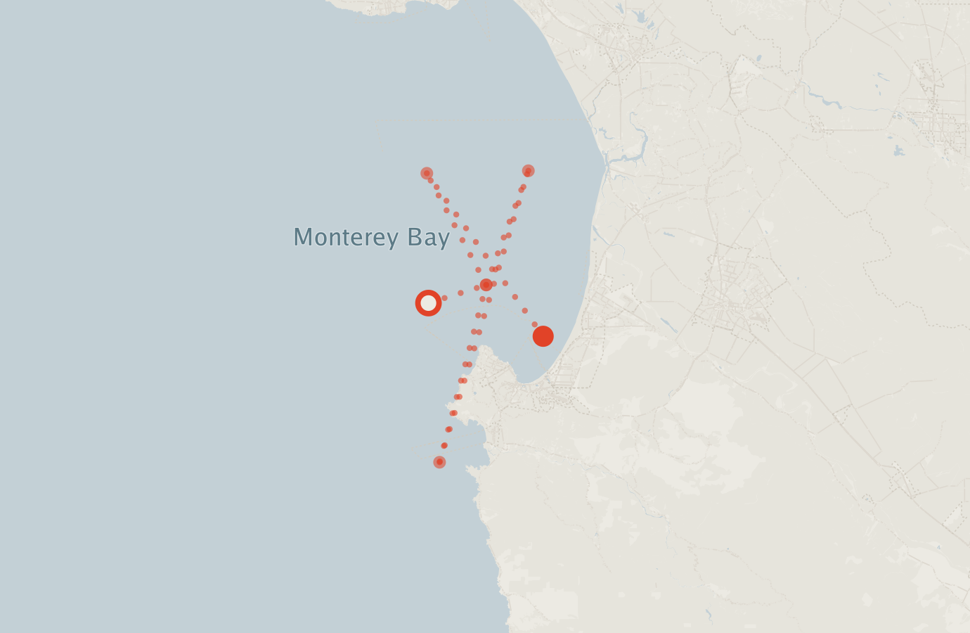 Activity map — real sighting points on an OpenStreetMap basemap