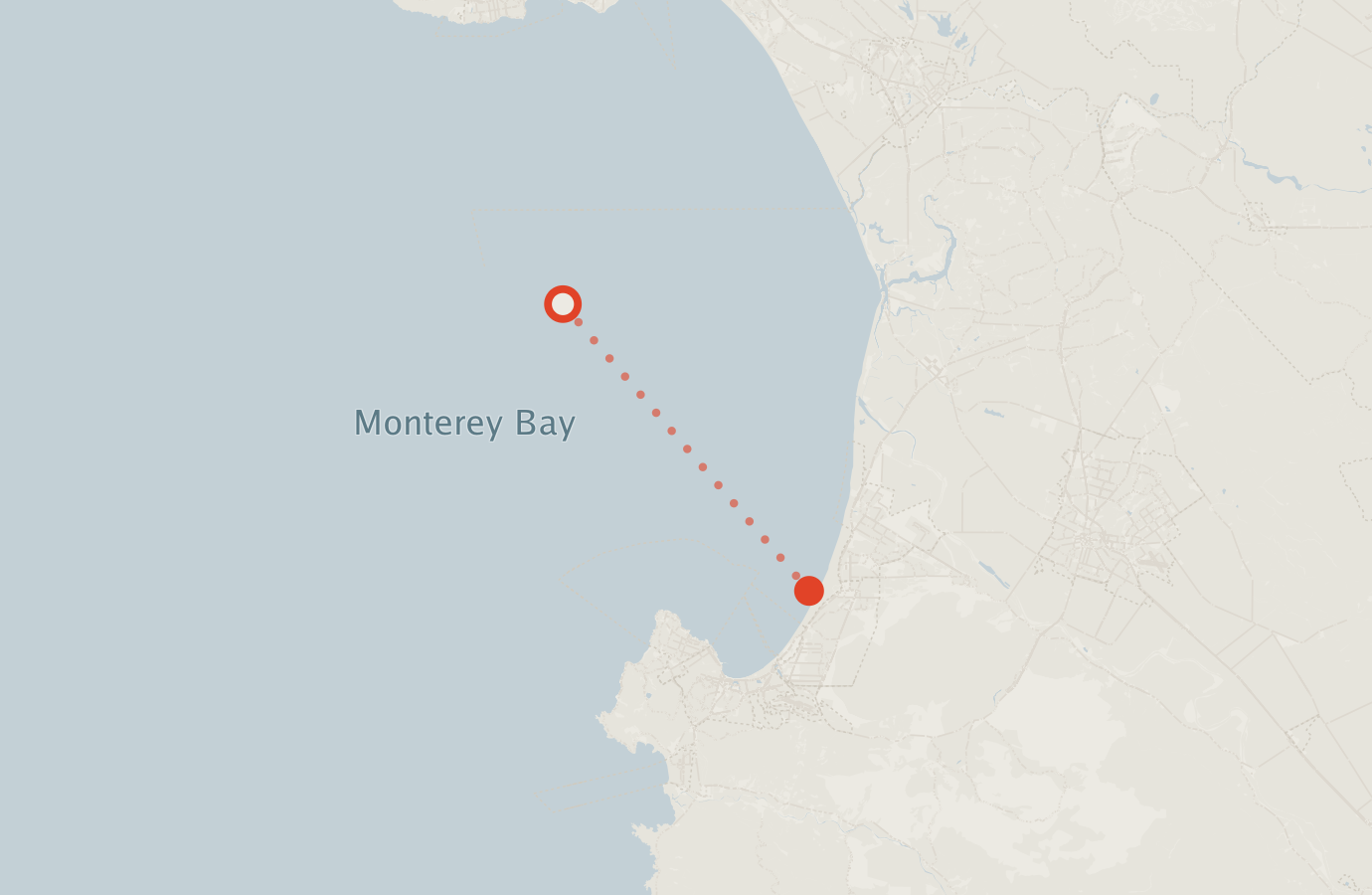 Activity map — real sighting points on an OpenStreetMap basemap
