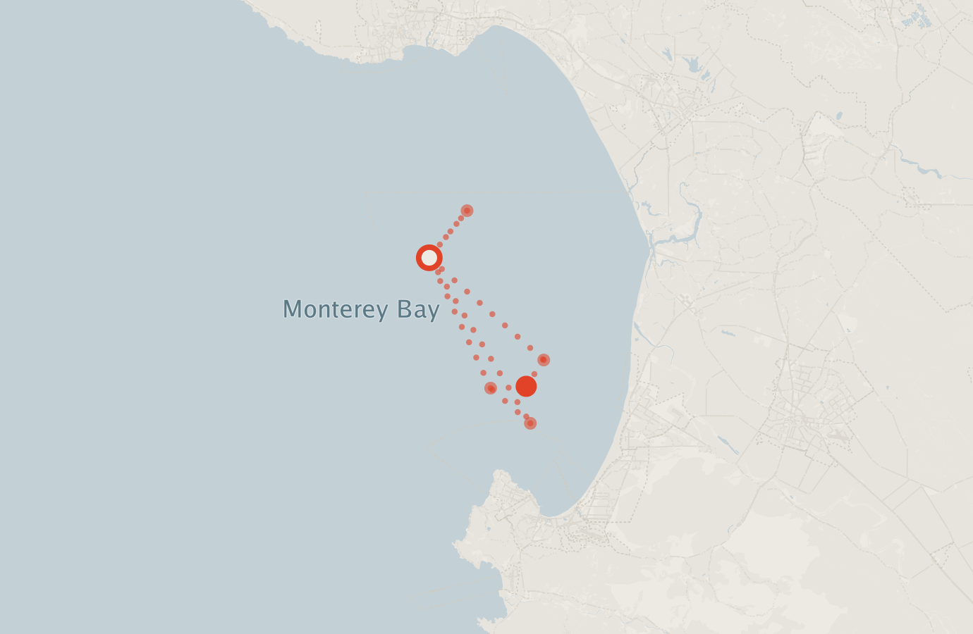 Activity map — real sighting points on an OpenStreetMap basemap