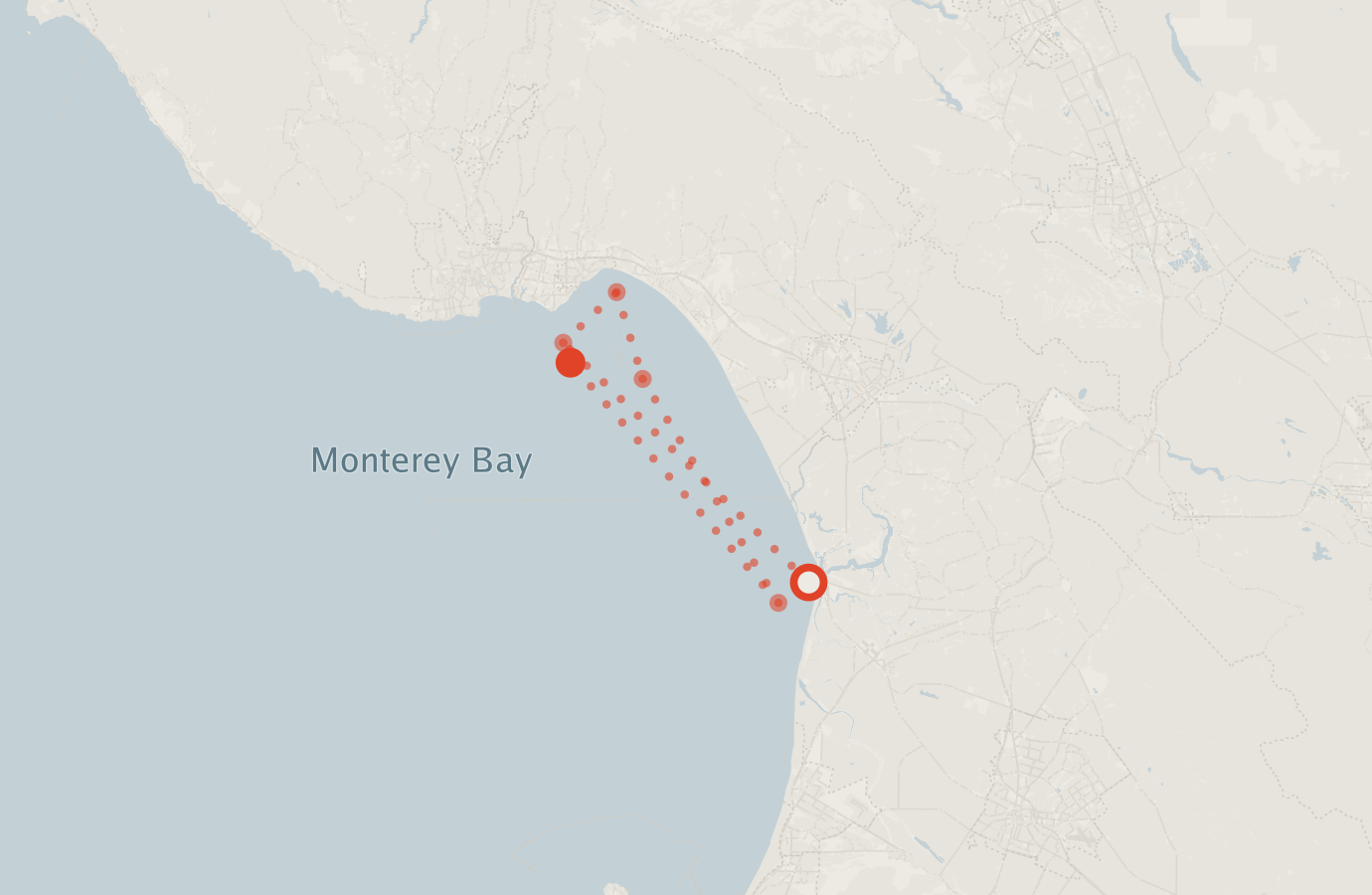 Activity map — real sighting points on an OpenStreetMap basemap