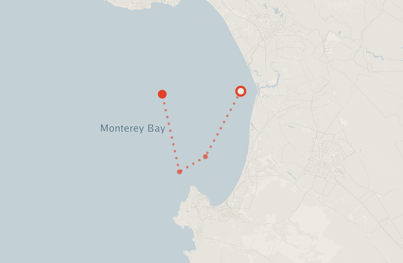 Activity map — real sighting points on an OpenStreetMap basemap