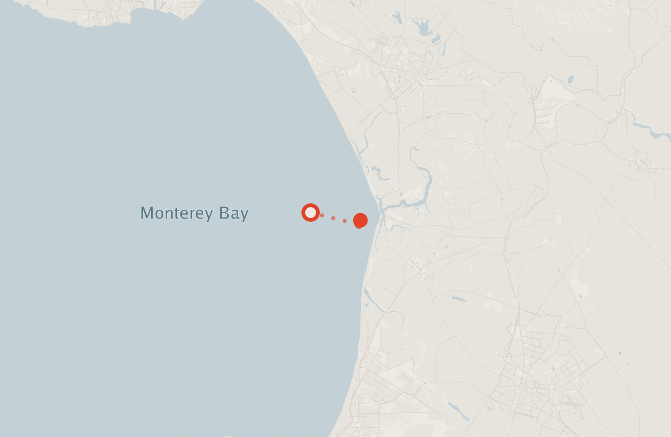 Activity map — real sighting points on an OpenStreetMap basemap