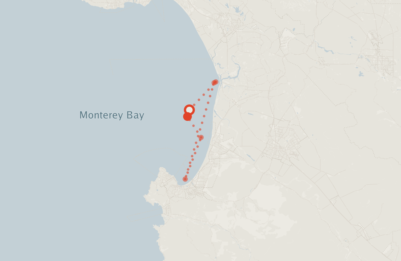 Activity map — real sighting points on an OpenStreetMap basemap