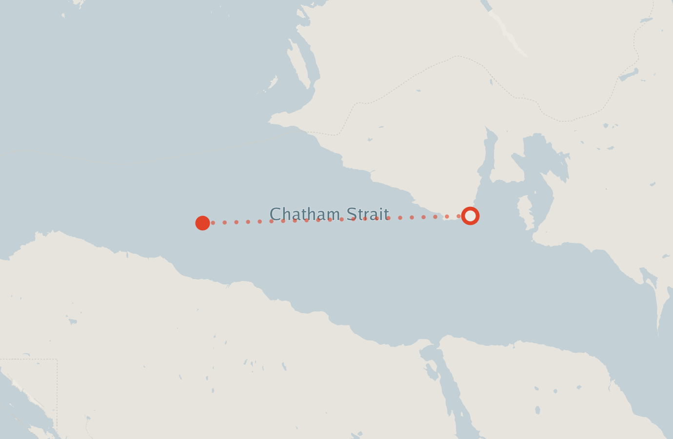 Activity map — real sighting points on an OpenStreetMap basemap