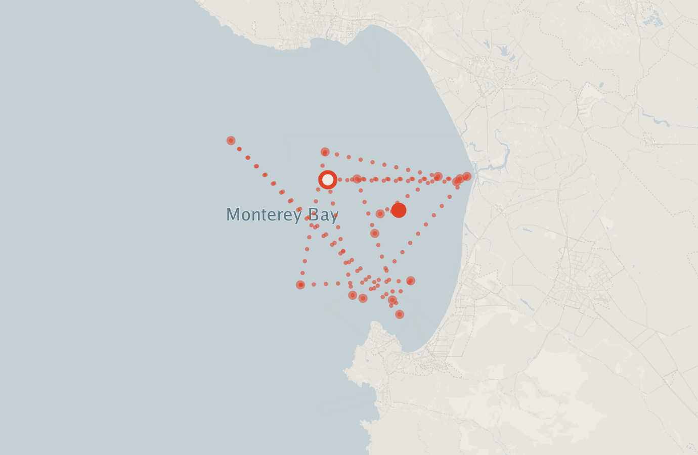 Activity map — real sighting points on an OpenStreetMap basemap