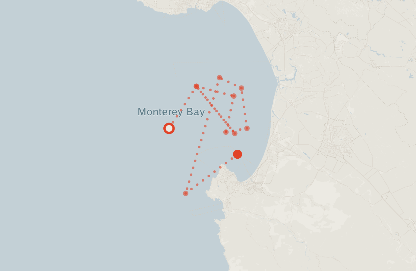 Activity map — real sighting points on an OpenStreetMap basemap