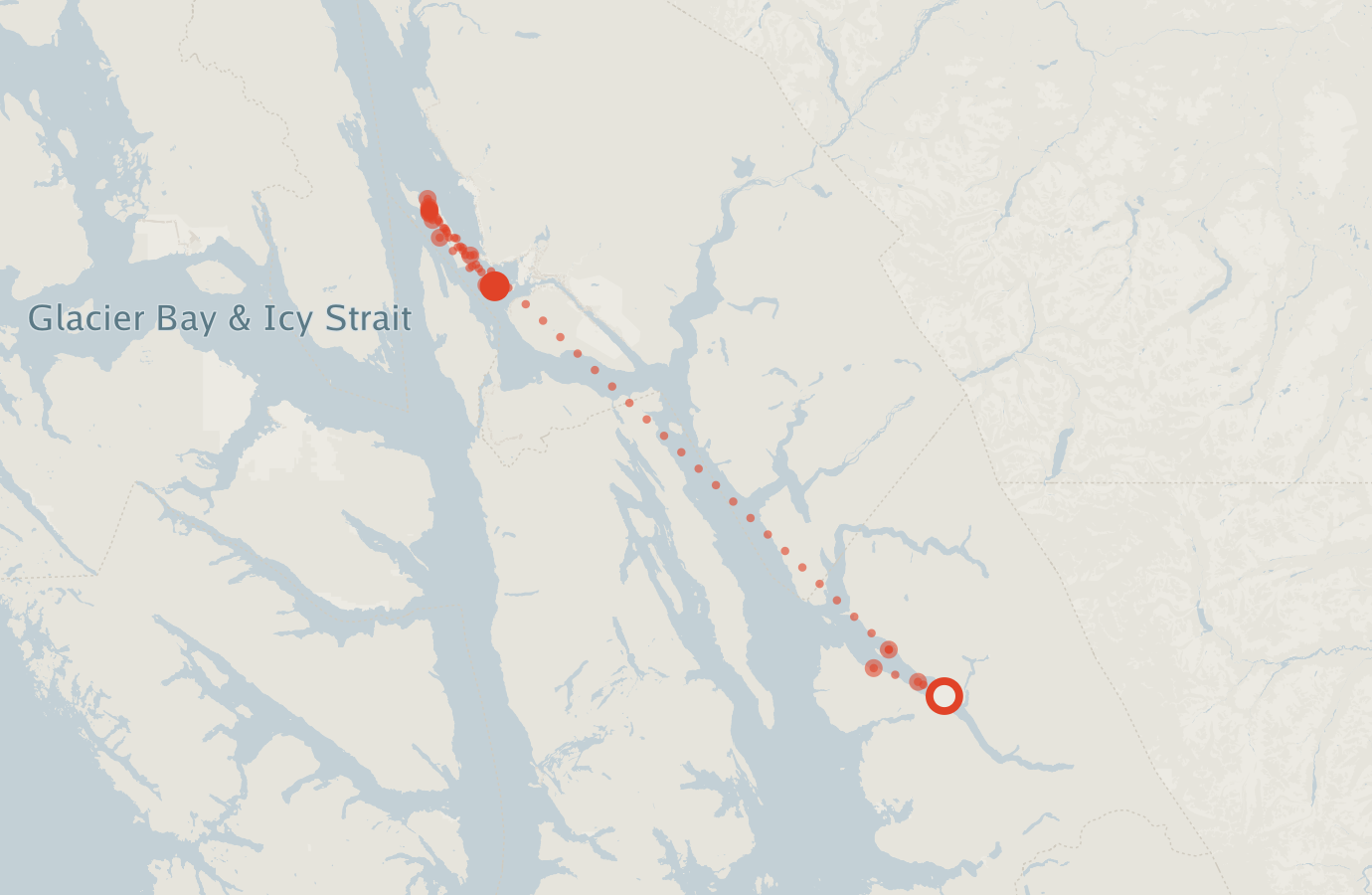 Activity map — real sighting points on an OpenStreetMap basemap