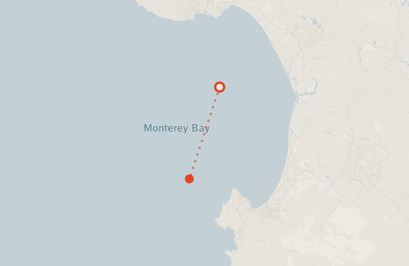 Activity map — real sighting points on an OpenStreetMap basemap