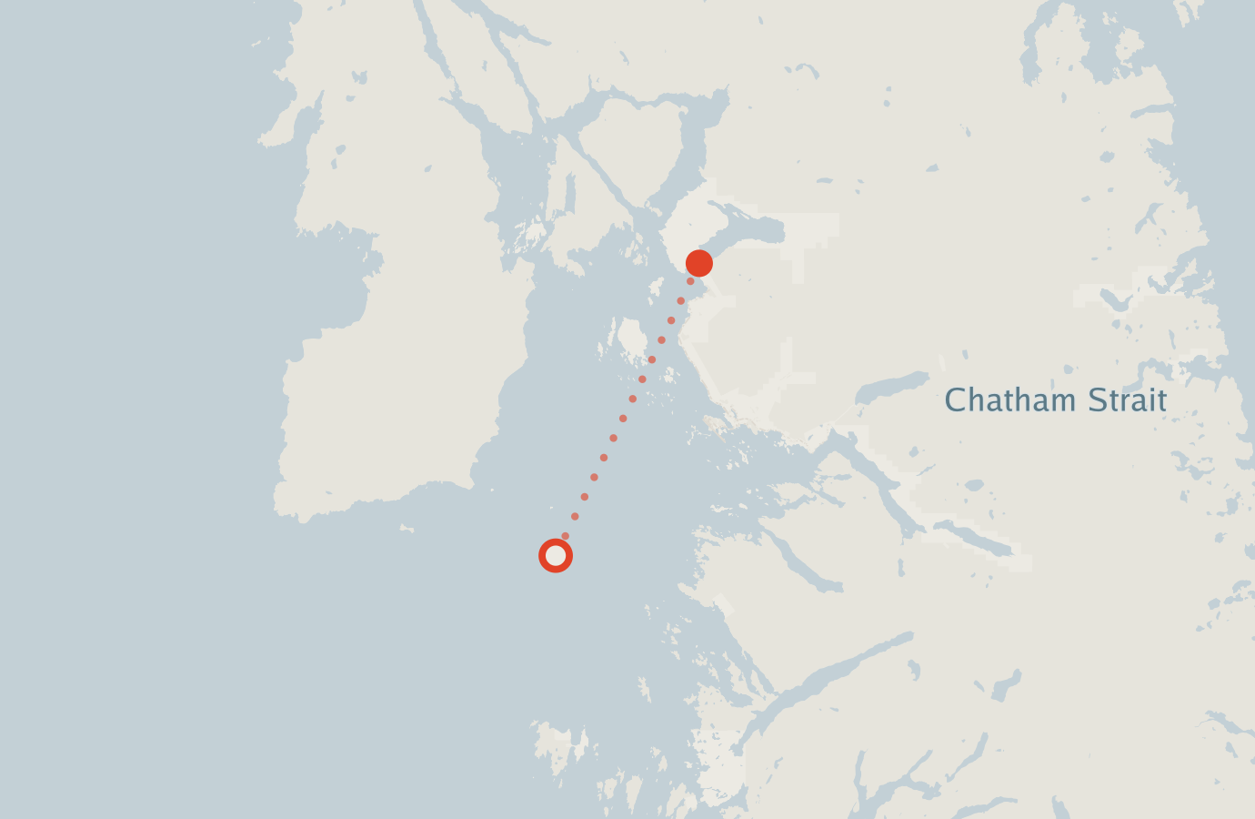 Activity map — real sighting points on an OpenStreetMap basemap