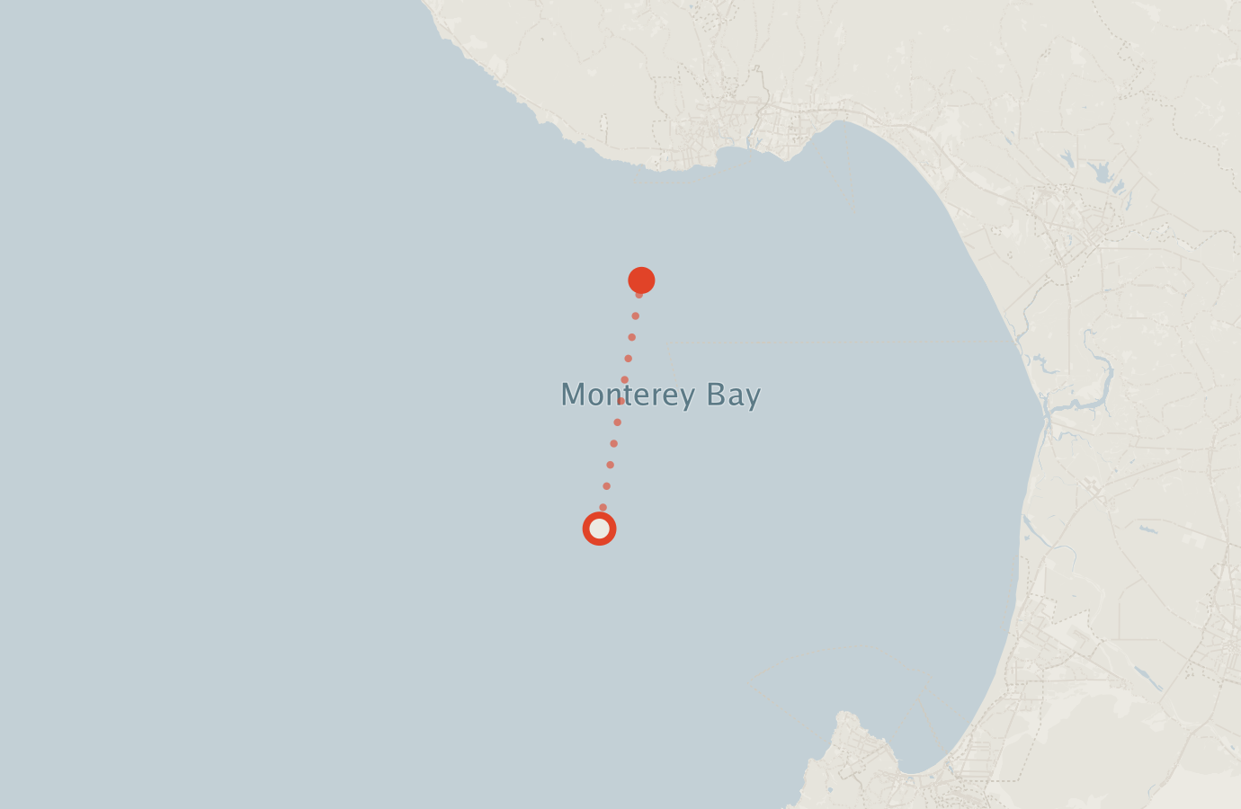 Activity map — real sighting points on an OpenStreetMap basemap
