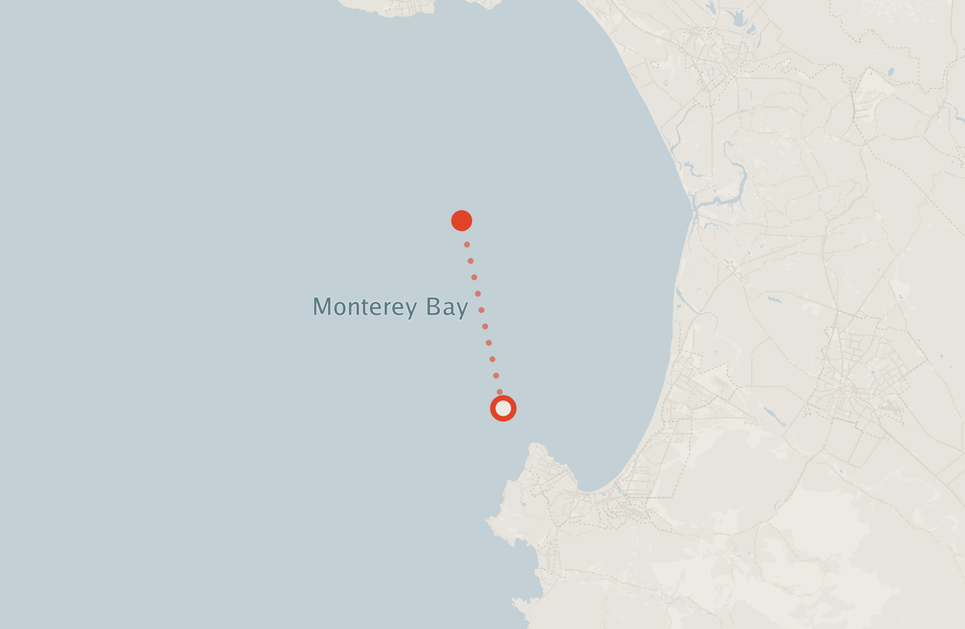 Activity map — real sighting points on an OpenStreetMap basemap