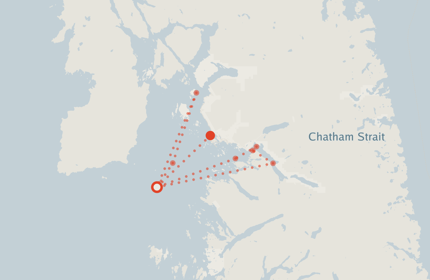 Activity map — real sighting points on an OpenStreetMap basemap