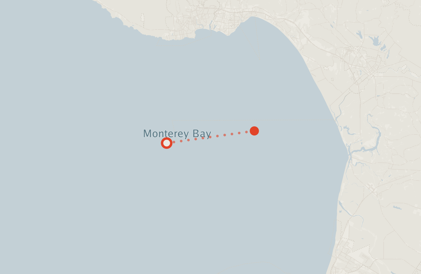 Activity map — real sighting points on an OpenStreetMap basemap