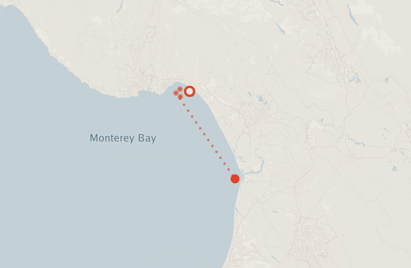 Activity map — real sighting points on an OpenStreetMap basemap