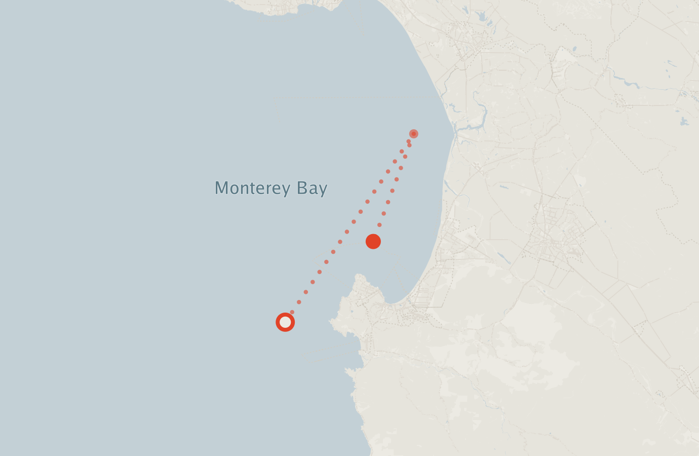 Activity map — real sighting points on an OpenStreetMap basemap