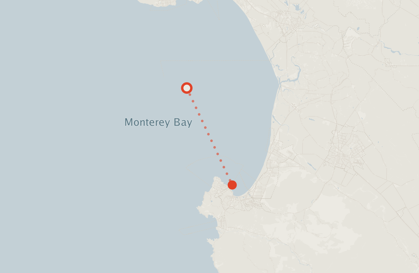 Activity map — real sighting points on an OpenStreetMap basemap