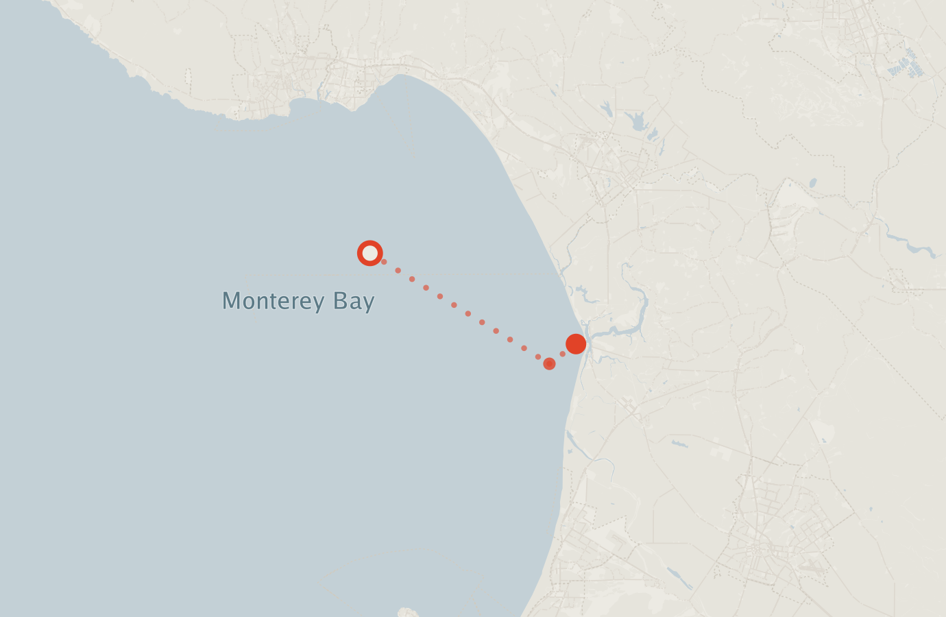 Activity map — real sighting points on an OpenStreetMap basemap