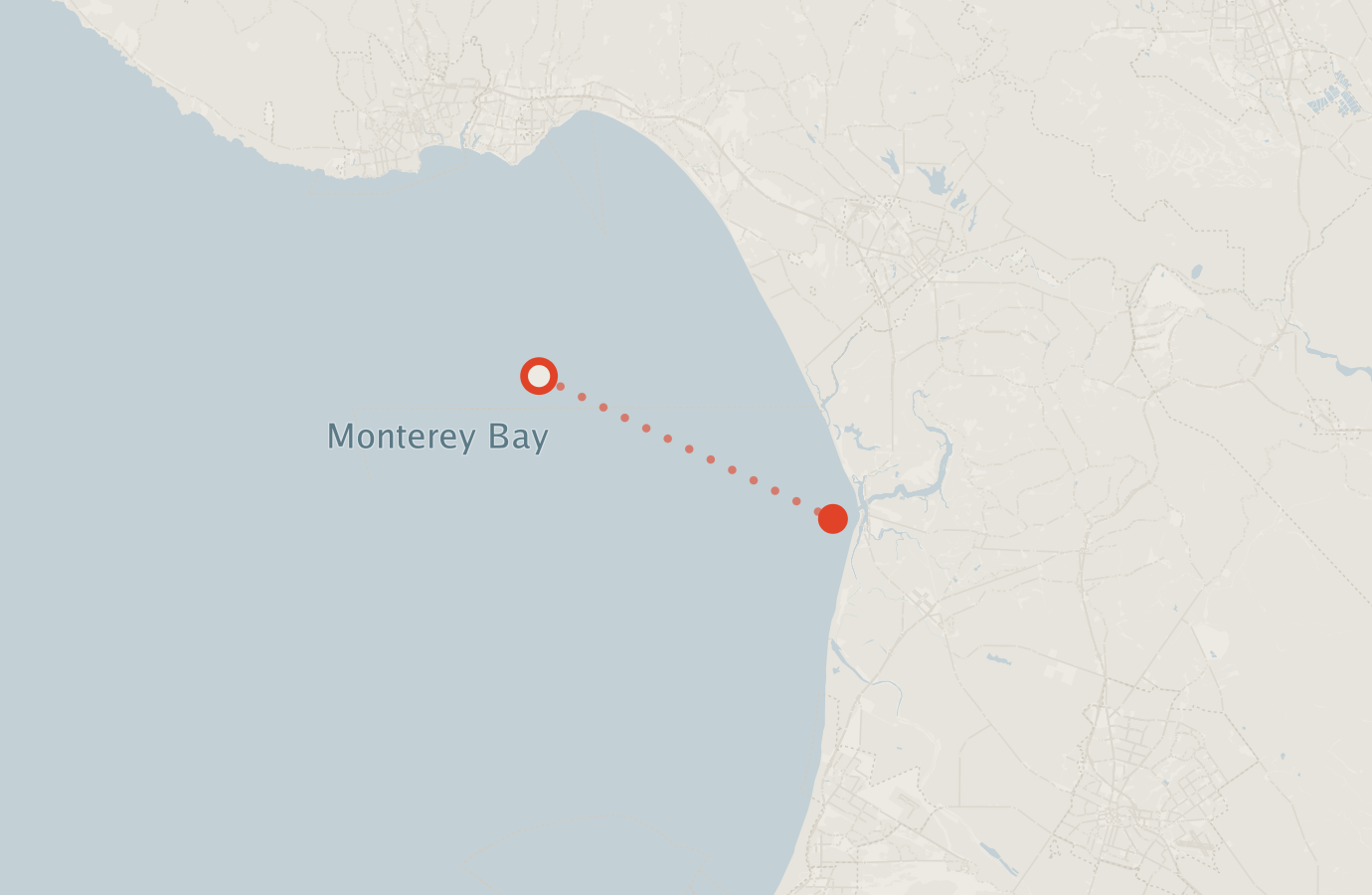 Activity map — real sighting points on an OpenStreetMap basemap
