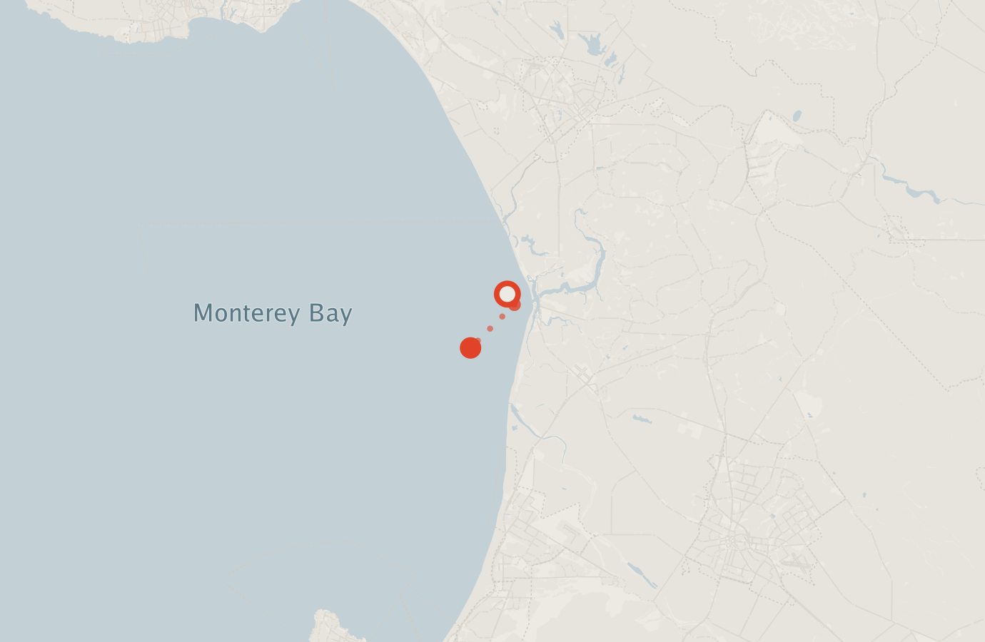 Activity map — real sighting points on an OpenStreetMap basemap