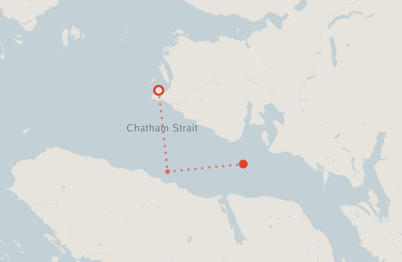 Activity map — real sighting points on an OpenStreetMap basemap