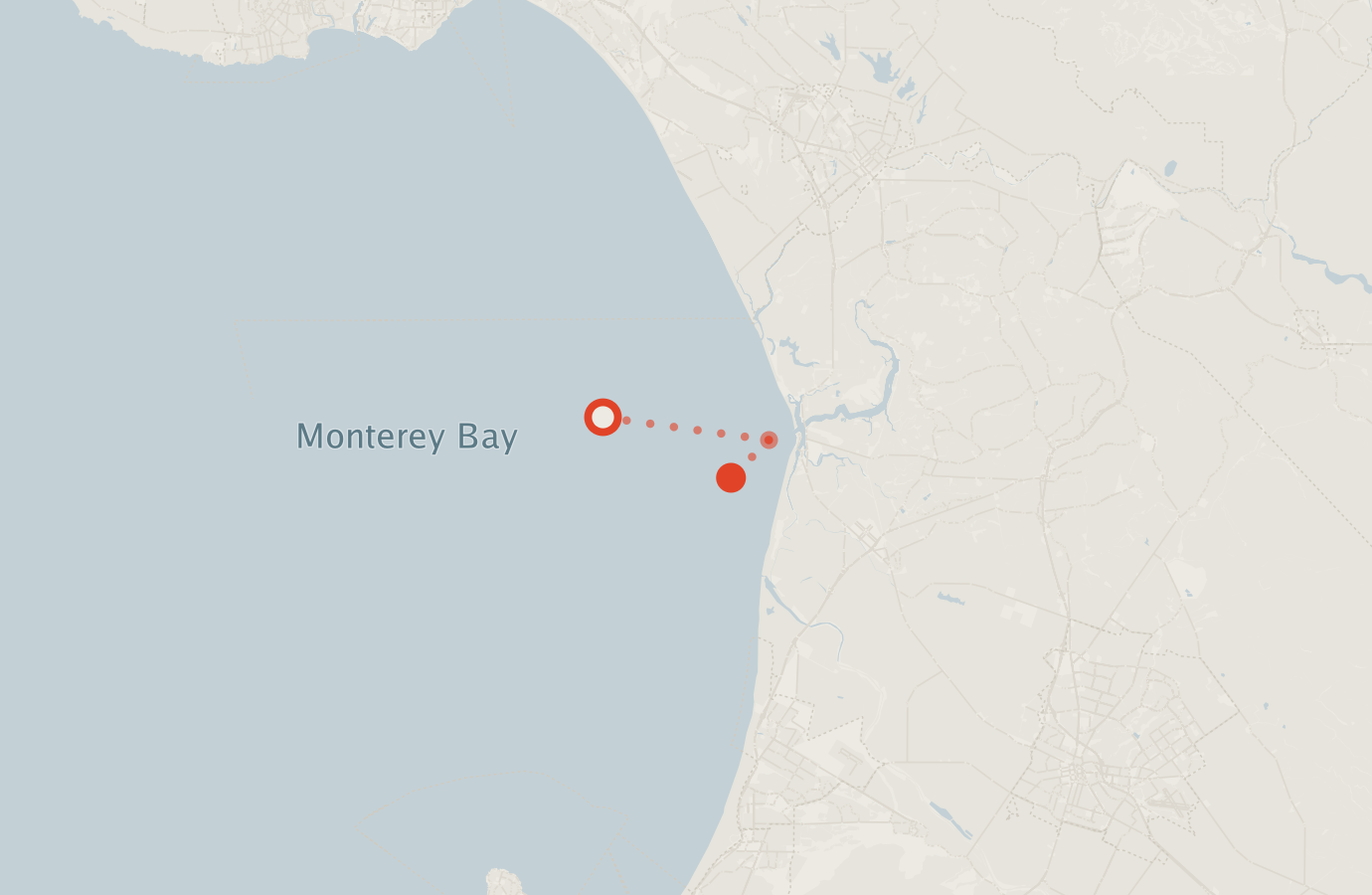 Activity map — real sighting points on an OpenStreetMap basemap