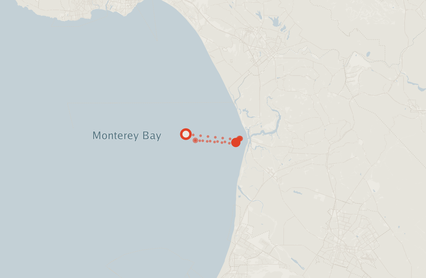Activity map — real sighting points on an OpenStreetMap basemap