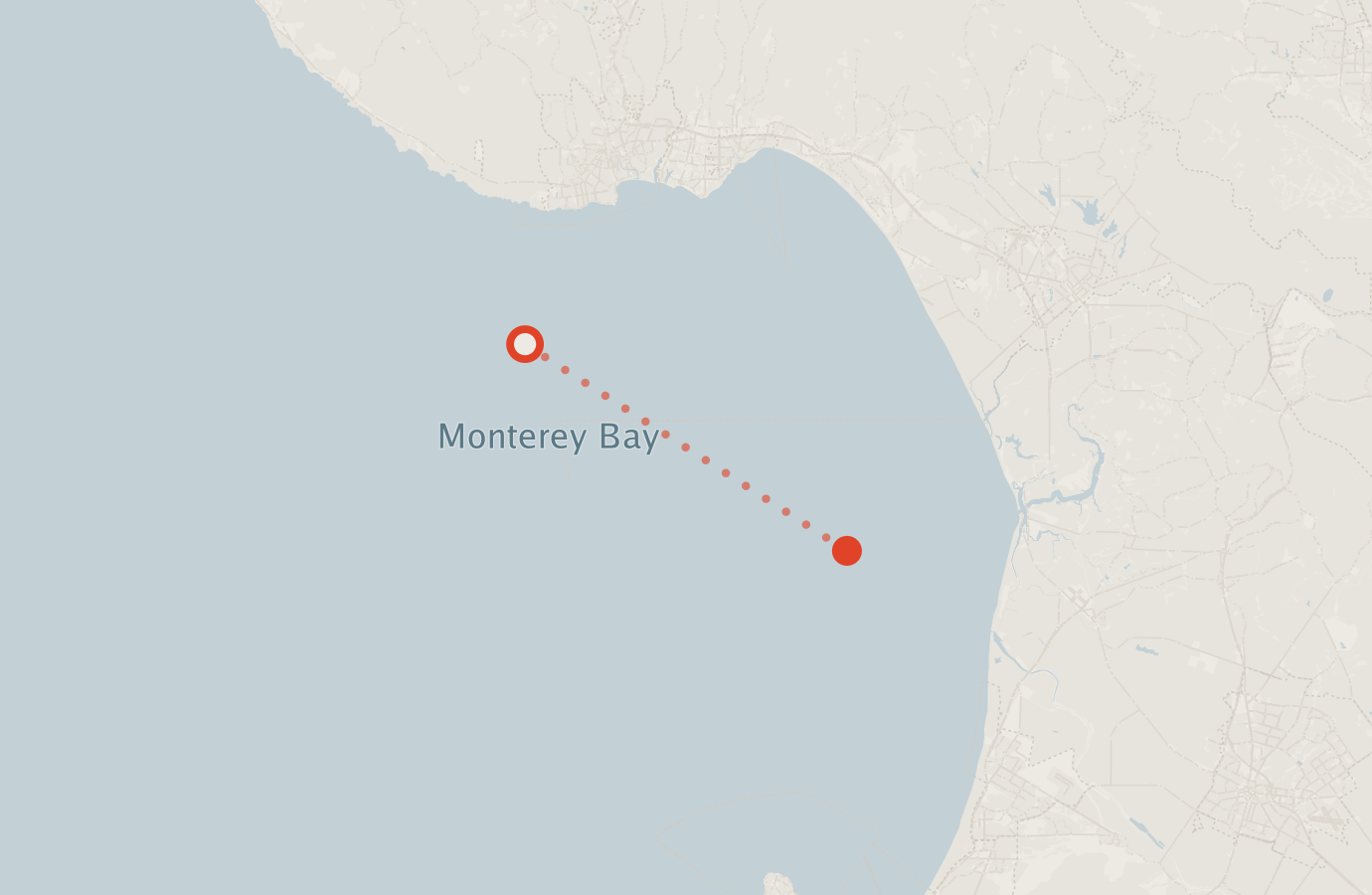 Activity map — real sighting points on an OpenStreetMap basemap