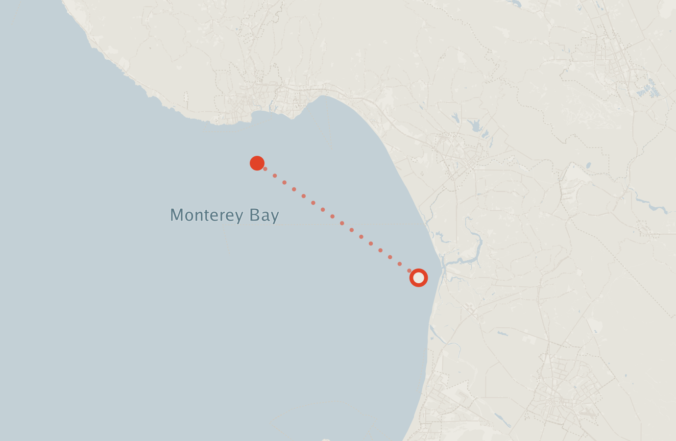 Activity map — real sighting points on an OpenStreetMap basemap