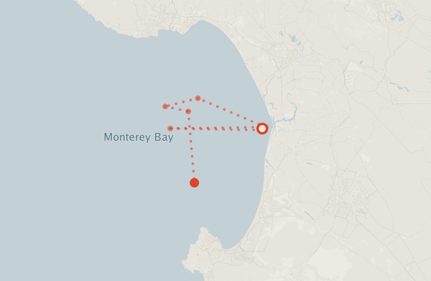 Activity map — real sighting points on an OpenStreetMap basemap
