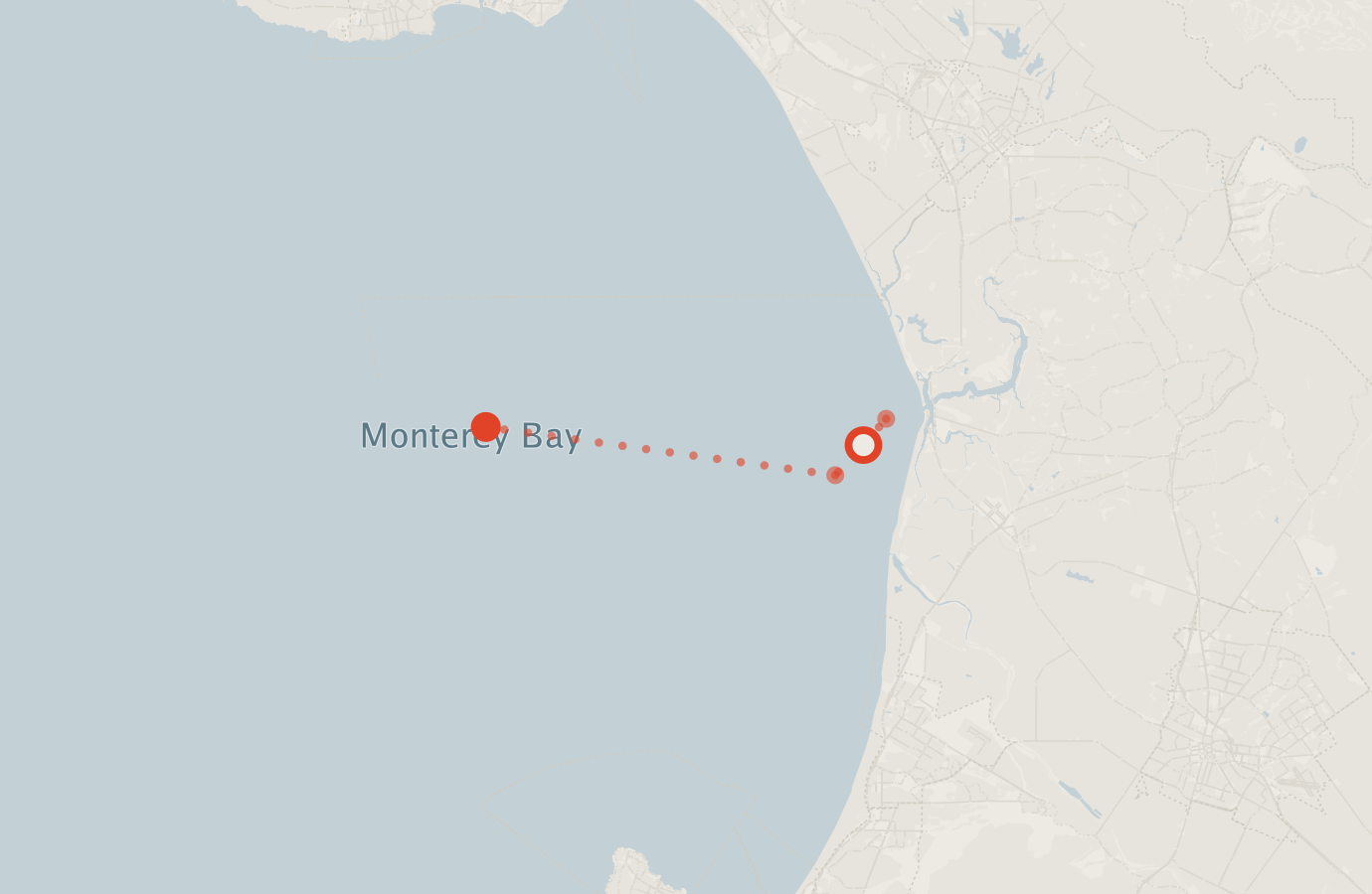 Activity map — real sighting points on an OpenStreetMap basemap