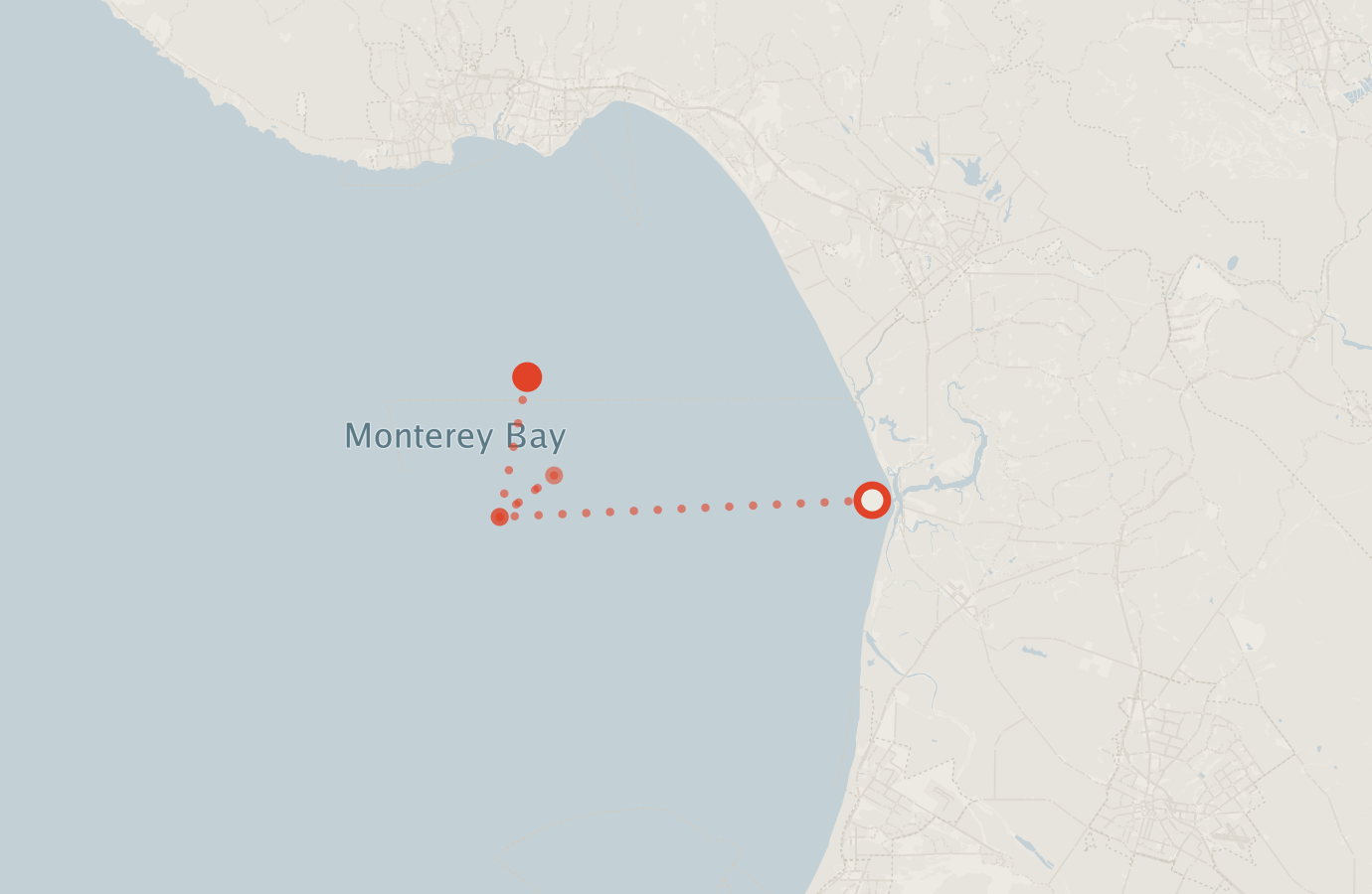 Activity map — real sighting points on an OpenStreetMap basemap