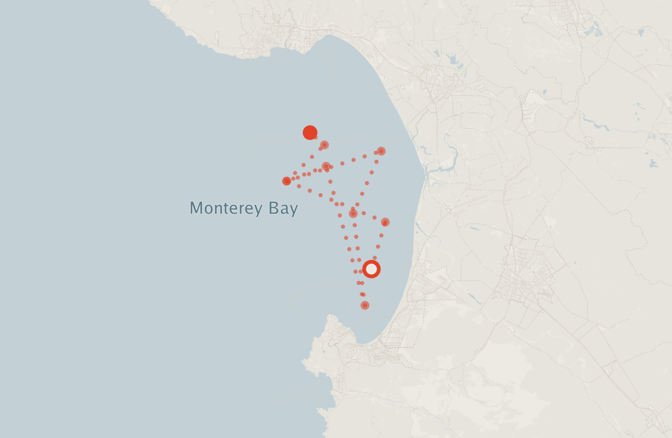 Activity map — real sighting points on an OpenStreetMap basemap