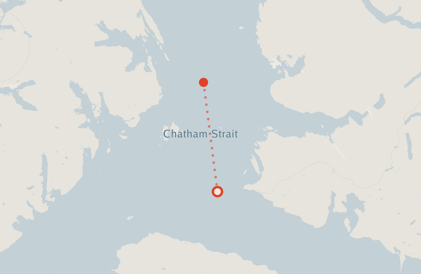 Activity map — real sighting points on an OpenStreetMap basemap