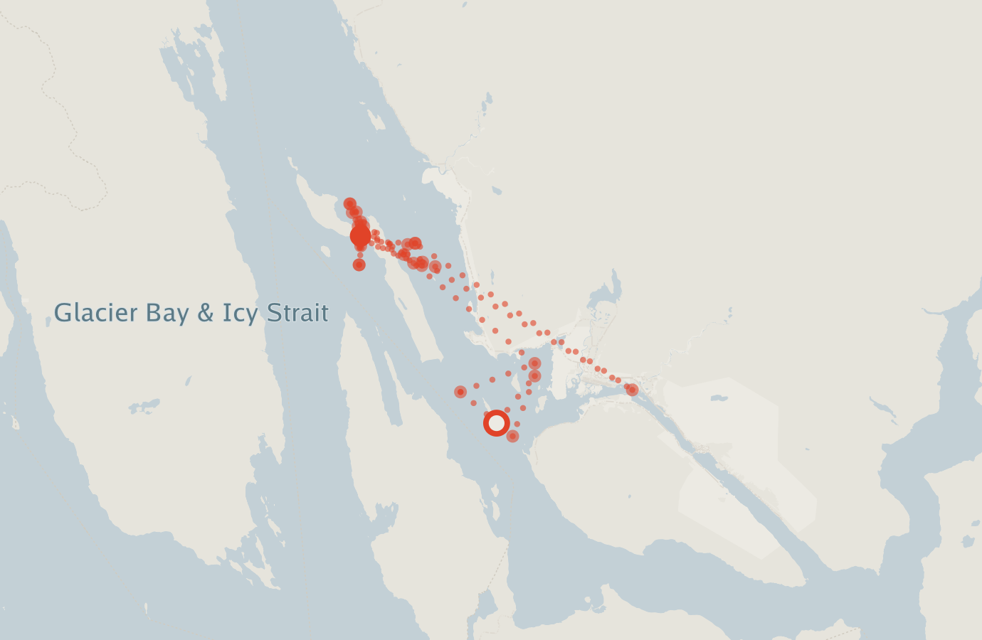 Activity map — real sighting points on an OpenStreetMap basemap