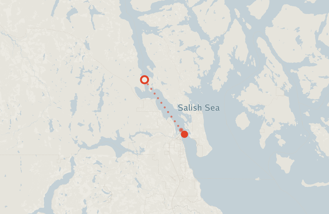Activity map — real sighting points on an OpenStreetMap basemap