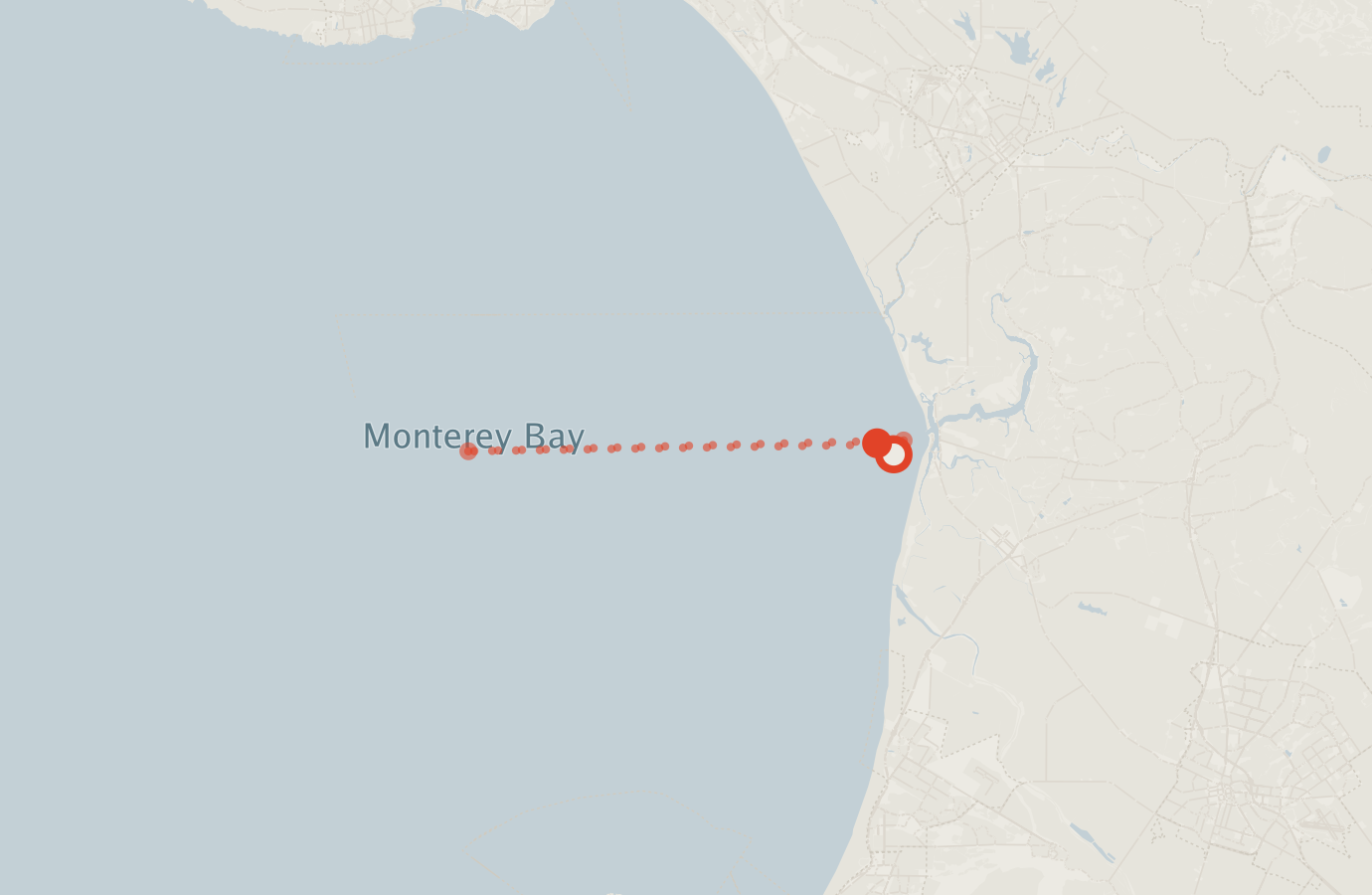 Activity map — real sighting points on an OpenStreetMap basemap