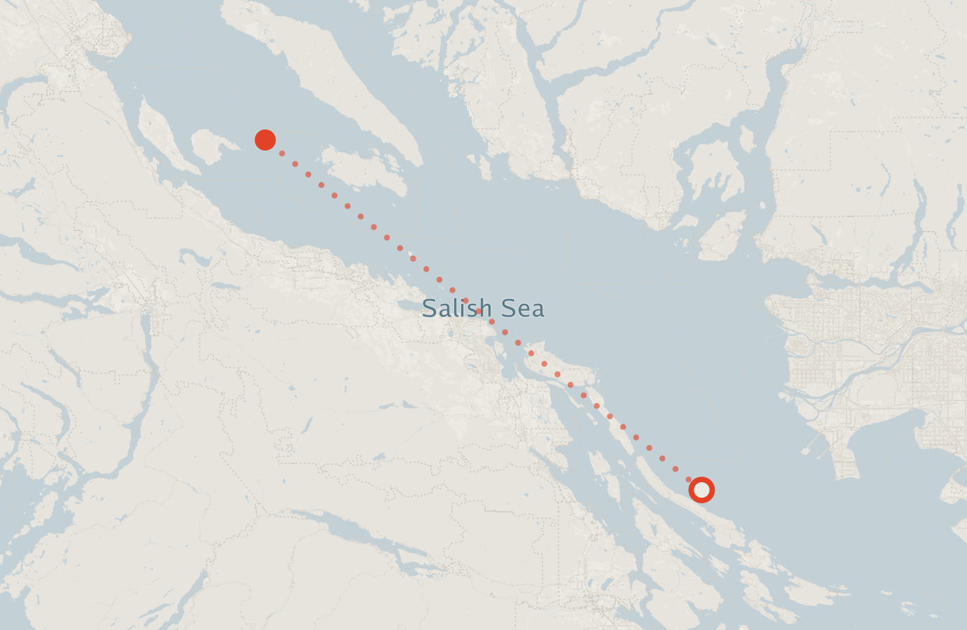 Activity map — real sighting points on an OpenStreetMap basemap