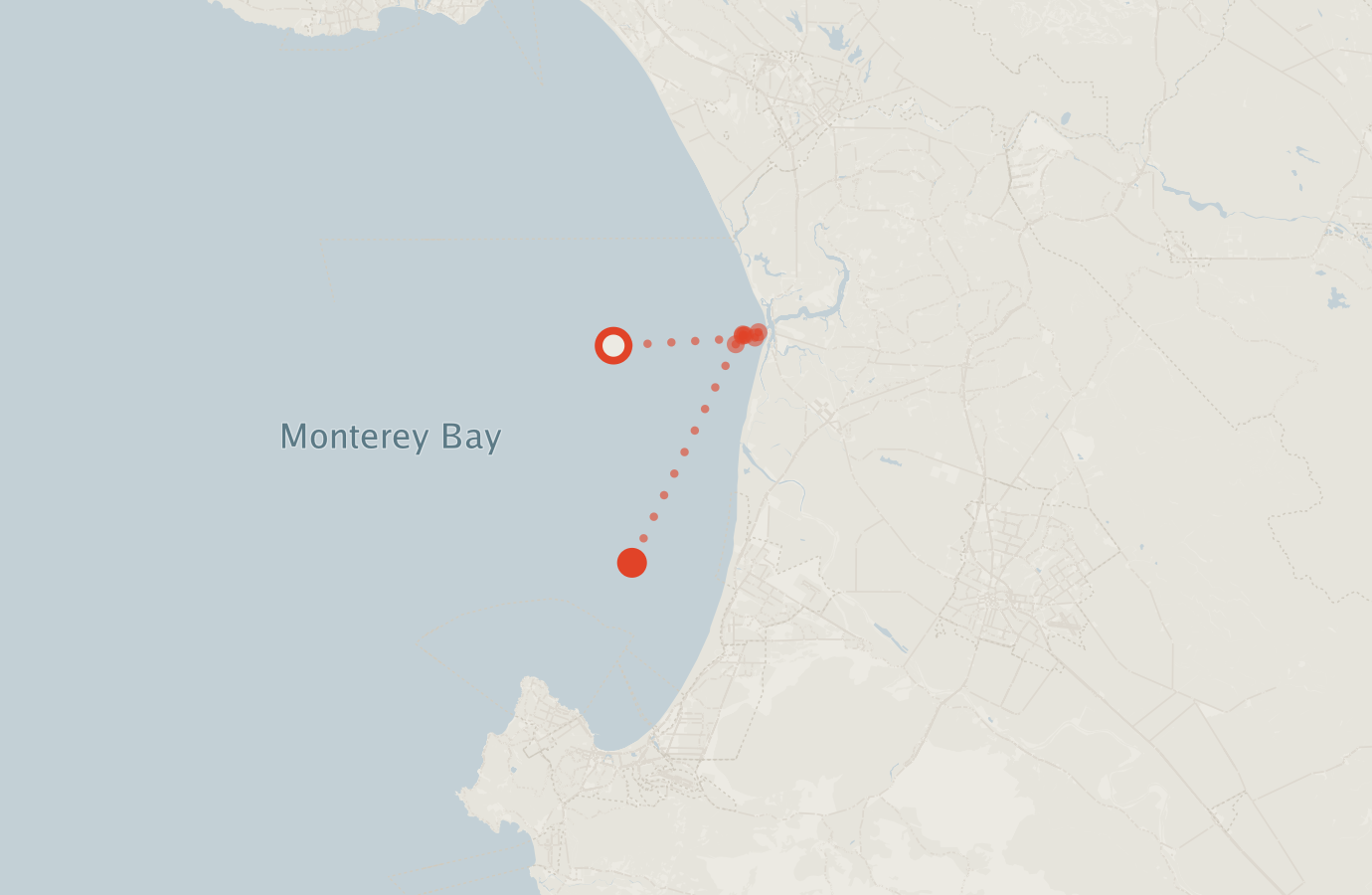 Activity map — real sighting points on an OpenStreetMap basemap